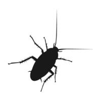 cockroach icon vector