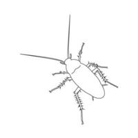 cockroach icon vector