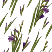 acquerello gladioli pianta senza soluzione di continuità modello, mano disegnato floreale illustrazione di viola fiori mini cuffie e le foglie. ripetendo design per Stampa, sfondo, involucro carta tessile png