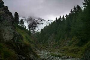 splendid alpine landscapes of Livigno and Valtellina in July 2023, the mountains in summer photo