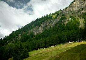 splendid landscapes of Livigno in Valtellina with its mountains in the summer of 2023 photo