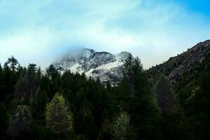 snow-filled mountain tops after a summer snowfall, in Livigno, Valtellina in the summer of 2023 photo