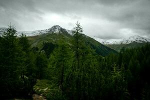 splendid landscapes of Livigno in Valtellina with its mountains in the summer of 2023 photo