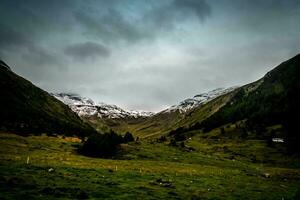 espléndido alpino paisajes de Livigno y valtellina en julio 2023, el montañas en verano foto