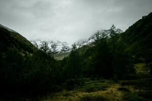 snow-filled mountain tops after a summer snowfall, in Livigno, Valtellina in the summer of 2023 photo