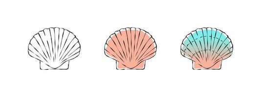 Seashells sketch. Scallop images. Shells are hand drawn. Vector scalable graphics