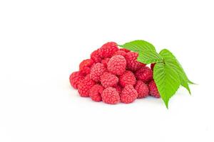 Fresh raspberry with green leaves on white background photo