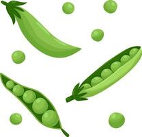 Vector set with green peas