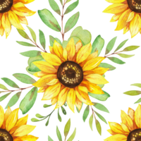 Sunflowers yellow flowers, floral illustration, rustic seamless pattern png