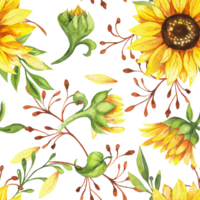 Sunflowers yellow flowers, floral illustration, rustic seamless pattern png