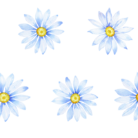 Watercolor daisies, Seamless pattern png