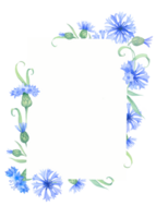 ram med blåklint blommor. vattenfärg illustration png