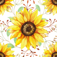 Sunflowers yellow flowers, floral illustration, rustic seamless pattern png