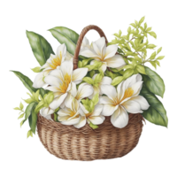 aguarela floral flor cesta projeto, aguarela flor arranjos floral, aguarela flor projeto, flor sublimação floral clipart, aguarela flor cesta, Casamento decoração, ai gerado png