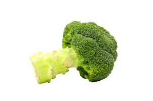 Fresh broccoli isolated on transparent background with clipping path or make selection. Freshness green vegetable, Healthy food for diet and Produce of agriculture. png transparency