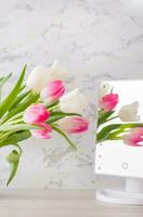 A bouquet of white and pink tulips with green leaves stands in a jug on the table and is reflected in the mirror. Selective focus. Vertical view photo