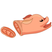 A pig with pork meat. Cut raw fresh meaty steak. Cartoon pork for cooking. png