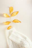 Branch with yellow autumn leaves in the sleeves of a warm knitted sweater vertical view photo