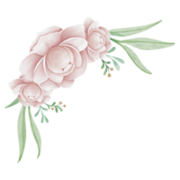 Peony Flowers Border png