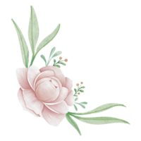 bouquet de fleurs de pivoine png