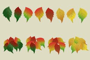 otoño hoja conjunto elementos vector ilustración