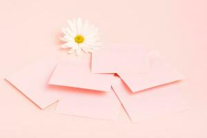 The concept is pink. Blank square small writing sheets and chrysanthemum on a pink background photo