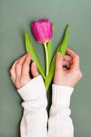 Lonely pink tulip with green leaves in female hands on a monochrome dark background. Vertical view photo