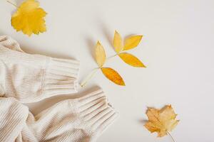 Cozy warm autumn knitted sweater sleeves and yellow leaves top view photo