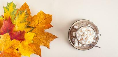 Warm drink with marshmallows and colorful maple leaves on beige top view web banner photo