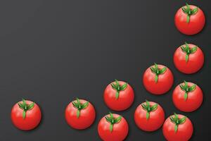 tomatos at dark back vector