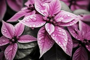 Close up of flowers processed to get a dark red and moody effect. Texture, patterns, AI Generated photo