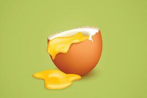 open cooked egg vector