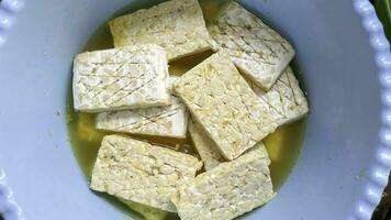 Raw tempeh pieces are soaked in salt and garlic before being fried. Marinate tempeh to add flavour. photo