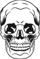 vintage human skull vector illustration