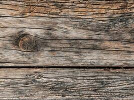 old wood texture background. wooden wall surface with empty space for text photo