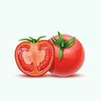 tomatos sliced on white vector