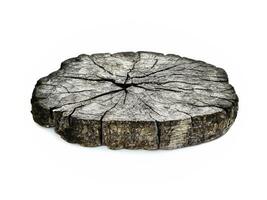 wooden tree stump isolated on white background. photo