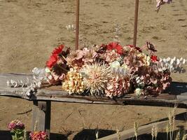dry flower bouquet beautiful photo