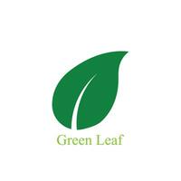 Logos of green leaf ecology nature element vector