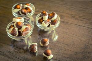 conchas marinas chocolates conjunto foto
