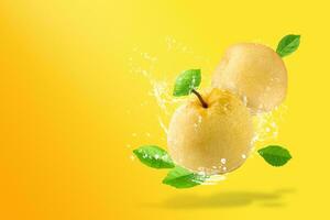 Water splashing on Fresh Chinese pear on yellow background. photo