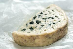 Blue cheese on the white paper photo