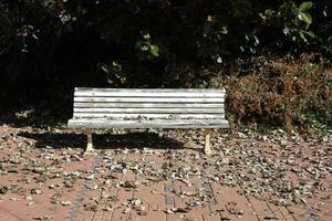 Bench for rest in a city park on the shores of the Mediterranean Sea. photo