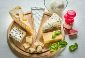 Various types of cheese photo