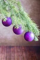 Christmas tree branch with ornaments photo