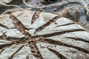 Rye bread with nuts and seeds photo