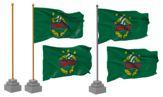 sportclub snel wien, sk snel wien vlag golvend verschillend stijl met staan pool geïsoleerd, 3d renderen png