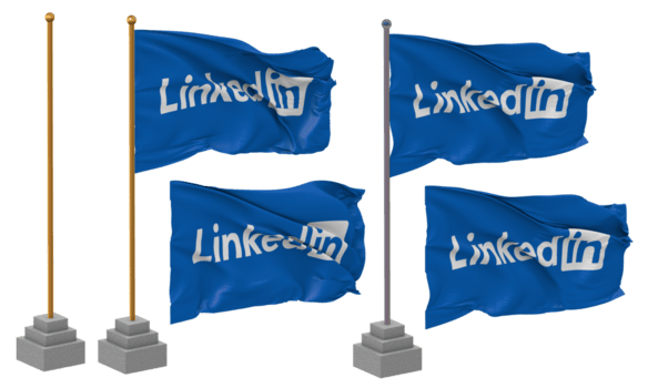 linkedin bandiera agitando diverso stile con In piedi polo isolato, 3d interpretazione png