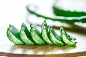 Fresh leaves of Aloe Vera photo