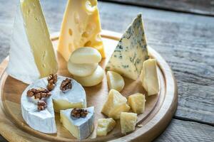 Various types of cheese photo